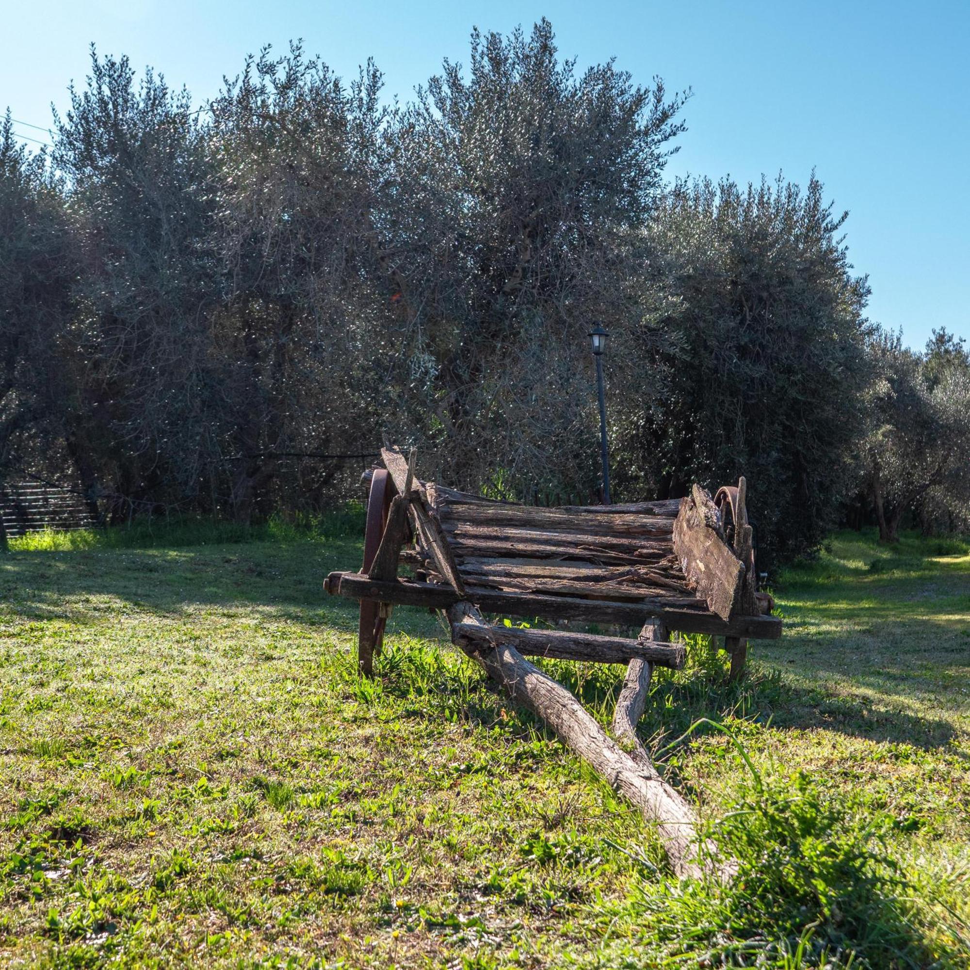Agriturismo Pascianella Appartamento Bel Tramonto Castelmuzio Exterior foto